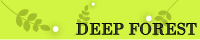 DEEP FOREST（站主：酷企毛）（杉浦志保非公式サイト）